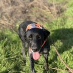 Messenger creation f44798ce 6058 4935 b9fa f6904b4c47f5