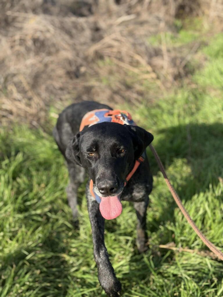 Messenger creation f44798ce 6058 4935 b9fa f6904b4c47f5