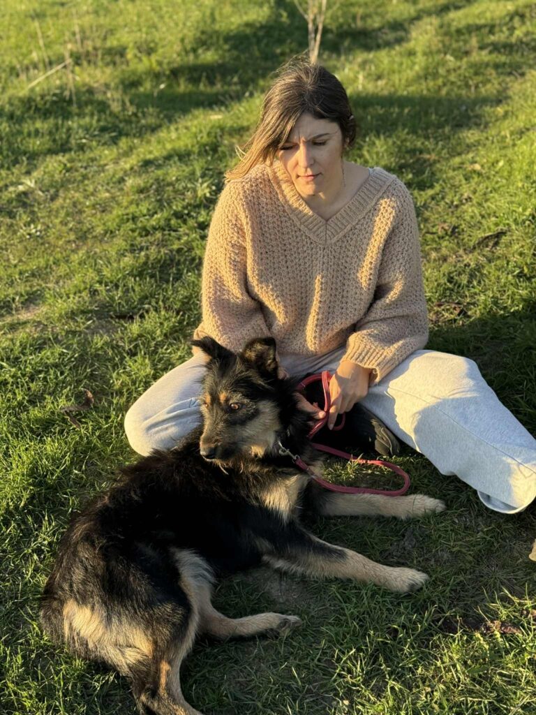 Messenger creation f948859e 7fa9 4b32 b9c7 b15813e3a5e9