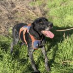 Messenger creation fa2ea557 f9d4 4d41 9ae0 81a56e988054