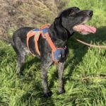 Messenger creation fdb7b4d8 24b5 4bf4 88b3 8016cec6c145