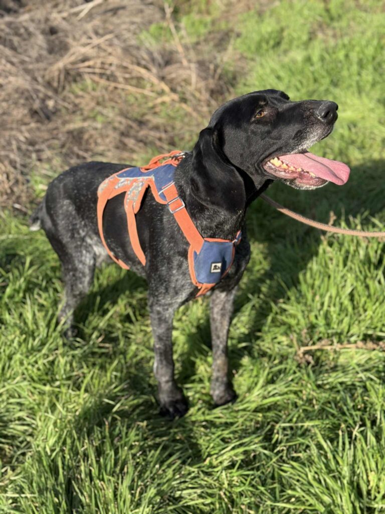 Messenger creation fdb7b4d8 24b5 4bf4 88b3 8016cec6c145