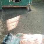 Screenshot 20251129 084405 gallery