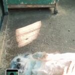 Screenshot 20251129 084409 gallery