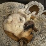 B05b273a 137c 4a5c 8ac7 cf6297decc29