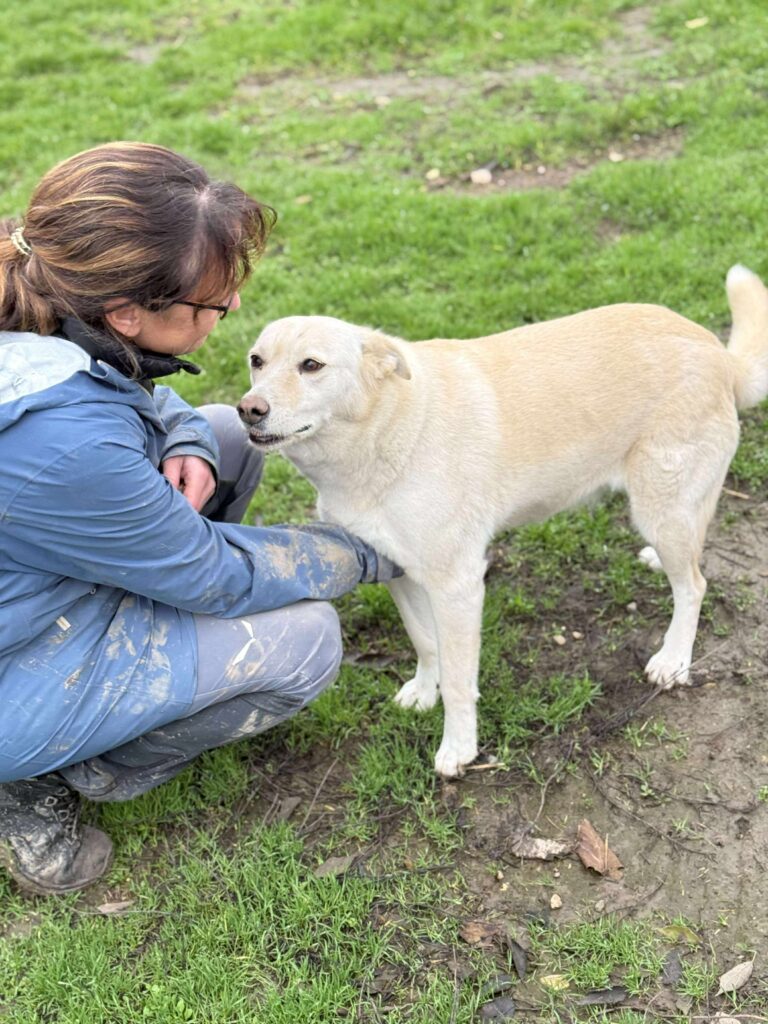 Received 1055119296681271