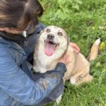 Received 1073368621466808