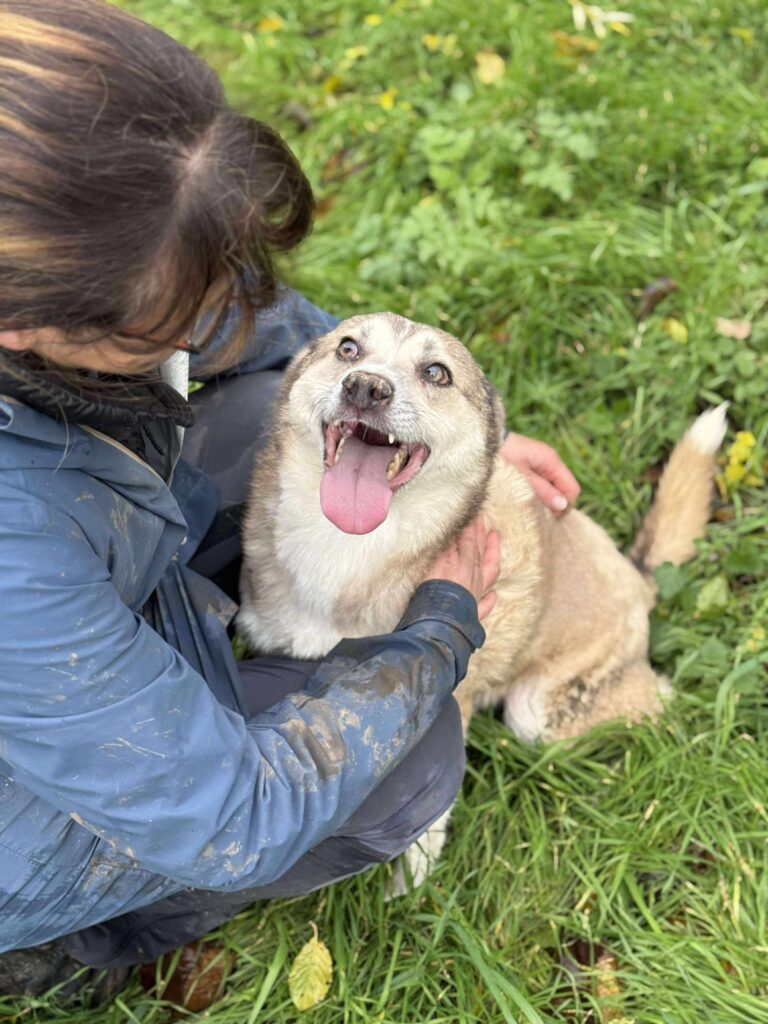 Received 1073368621466808