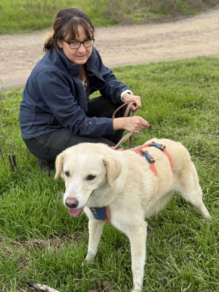 Received 1116460540323039