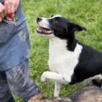 Received 1144170767439447