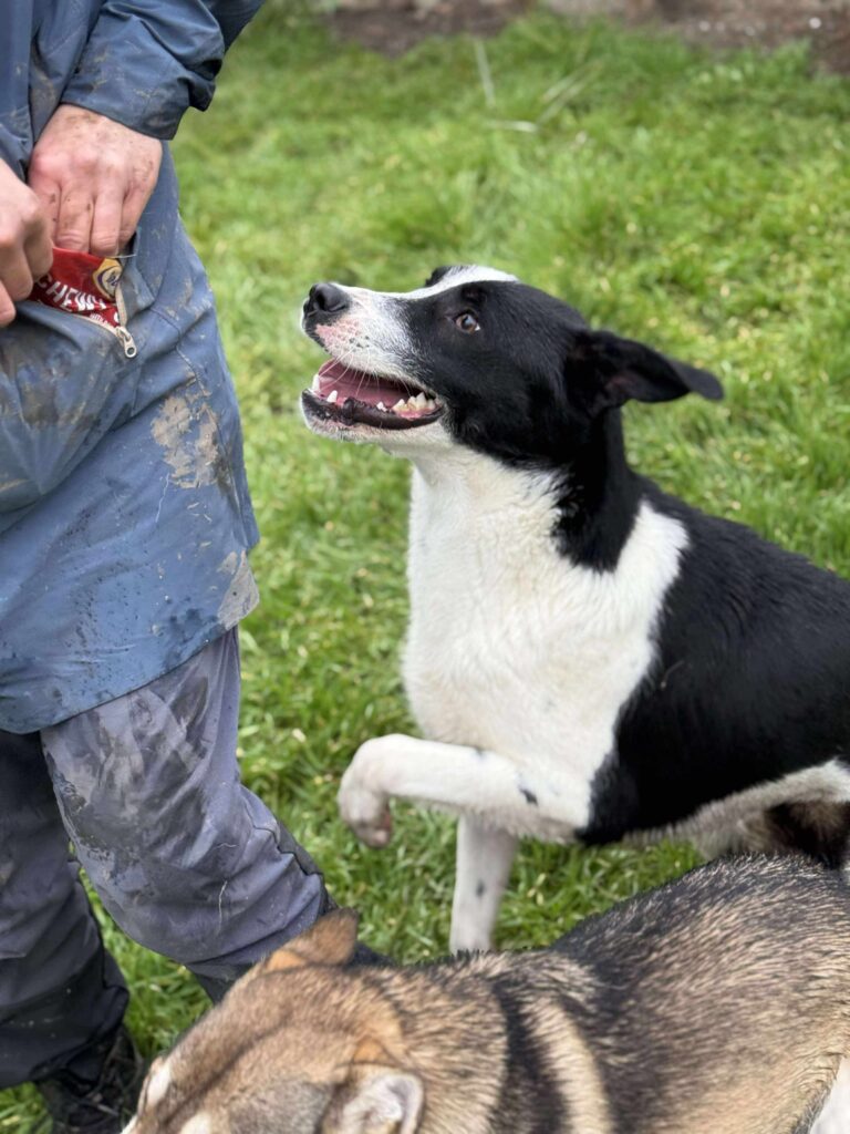 Received 1144170767439447