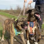 Received 1149981633971706