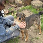 Received 1153145150219283