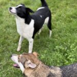 Received 1170247801264720