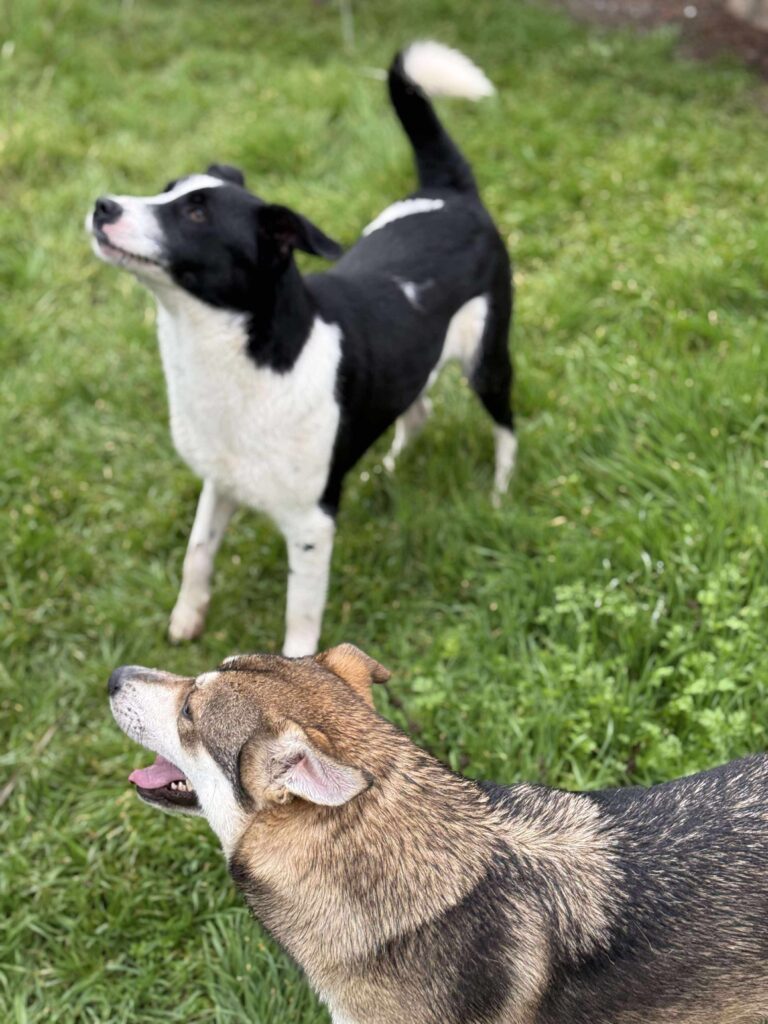 Received 1170247801264720