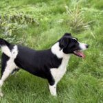 Received 1172479864355023