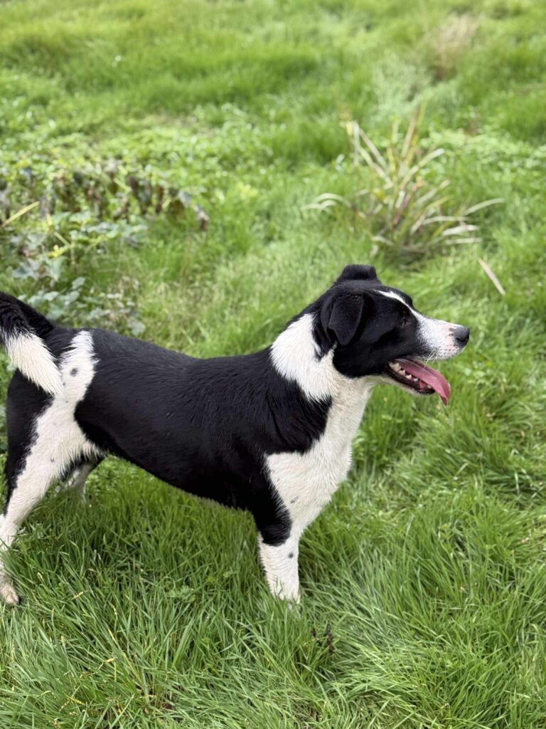 Received 1172479864355023