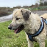 Received 1176457004448098