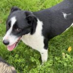 Received 1176734733824992