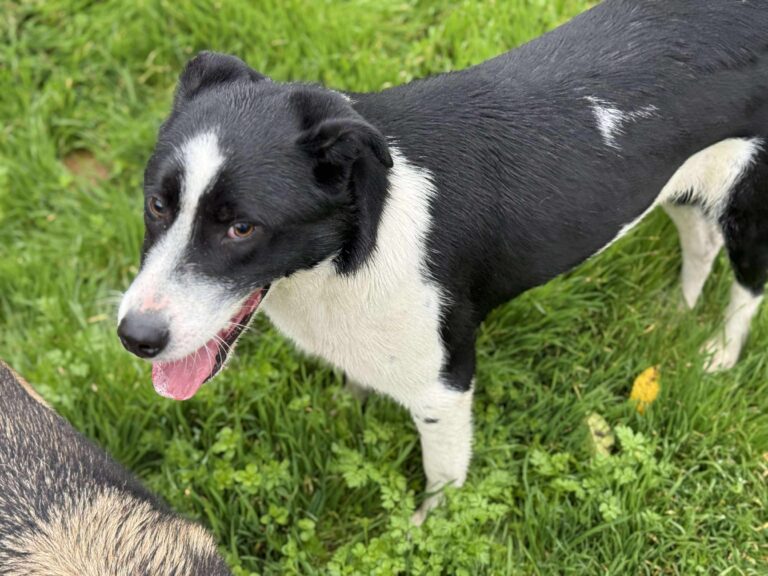 Received 1176734733824992