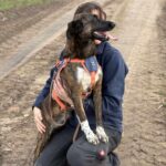 Received 1177681347028612