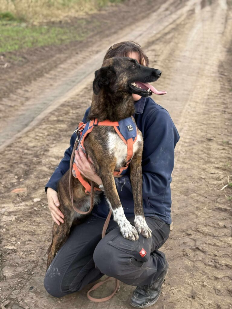 Received 1177681347028612