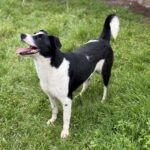 Received 1191980636370429