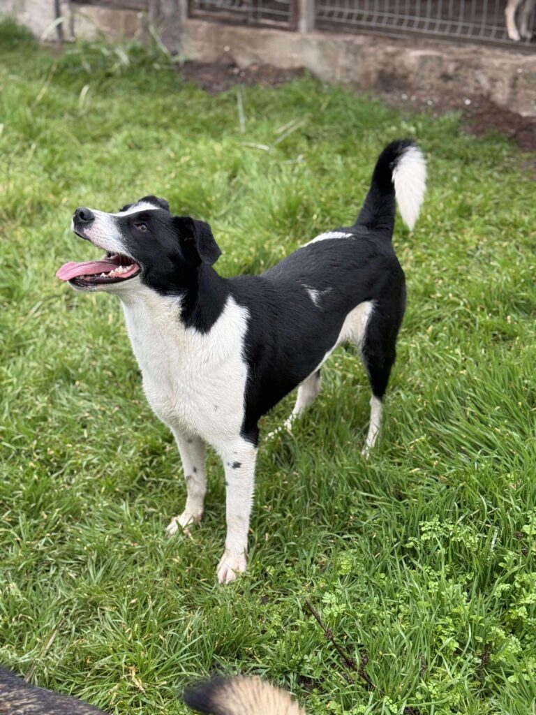 Received 1191980636370429