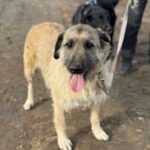 Received 1209327667924221