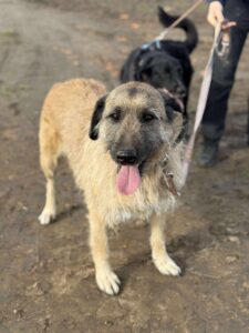 Received 1209327667924221