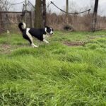 Received 1215570833777491