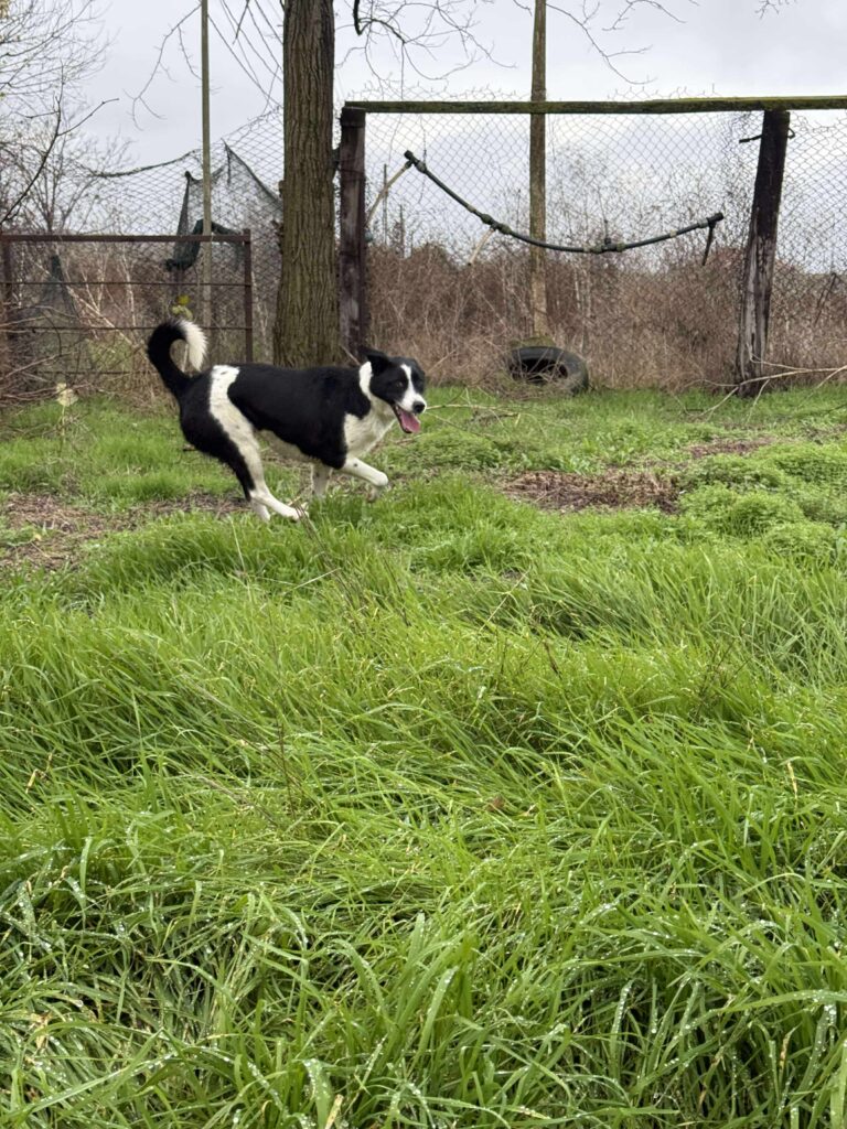 Received 1215570833777491