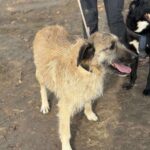 Received 1218065037049037