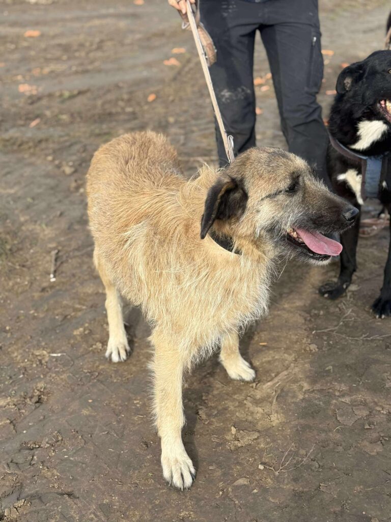 Received 1218065037049037