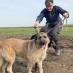 Received 1220014326852892