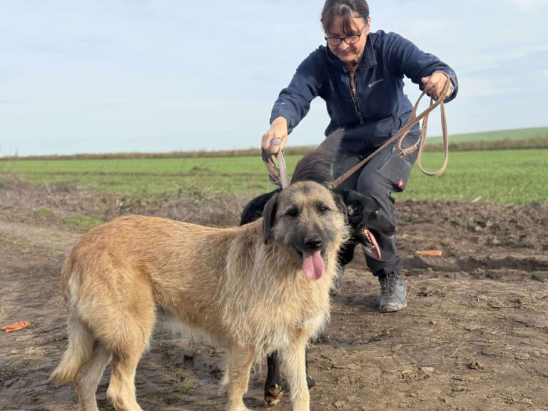 Received 1220014326852892