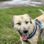 Received 1232064312090105