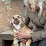 Received 1240364731187252