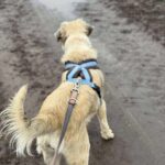 Received 1264934015671375