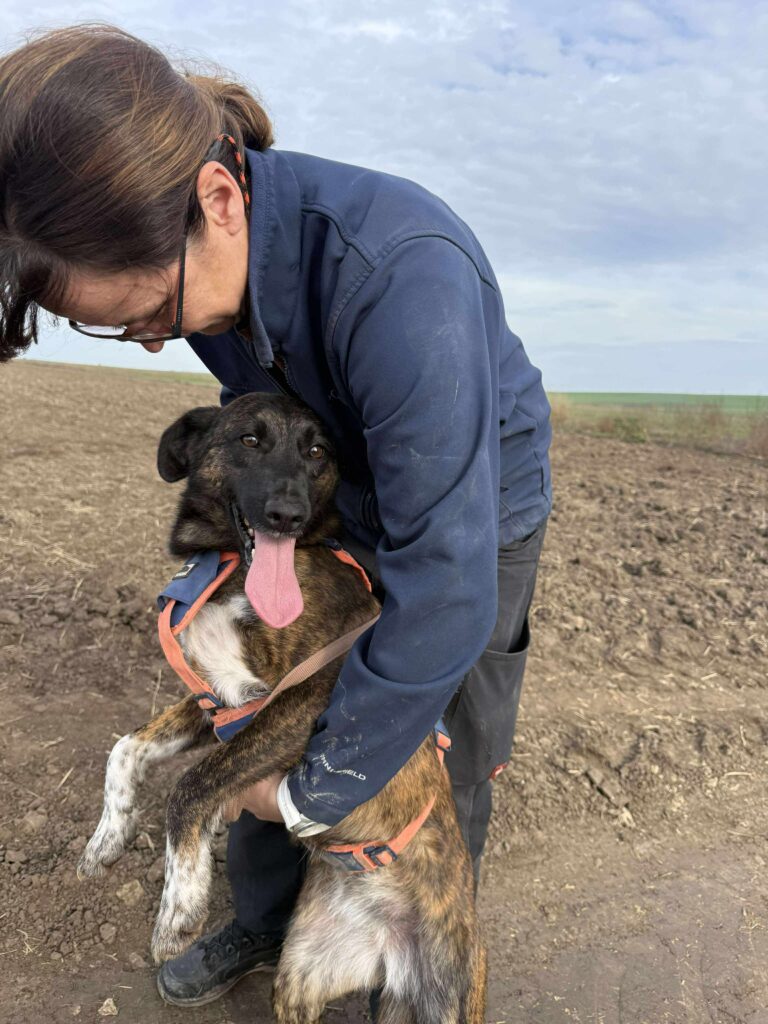 Received 1279478157279037