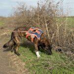 Received 1335849711415742