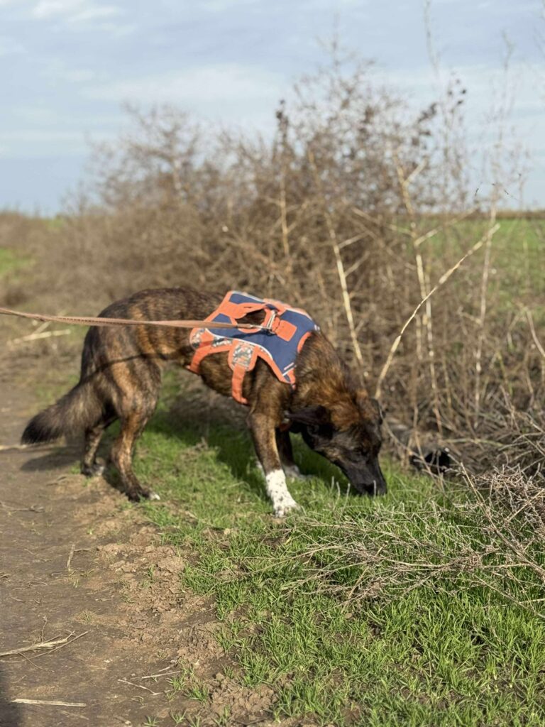 Received 1335849711415742