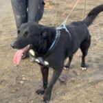 Received 1352049275782870