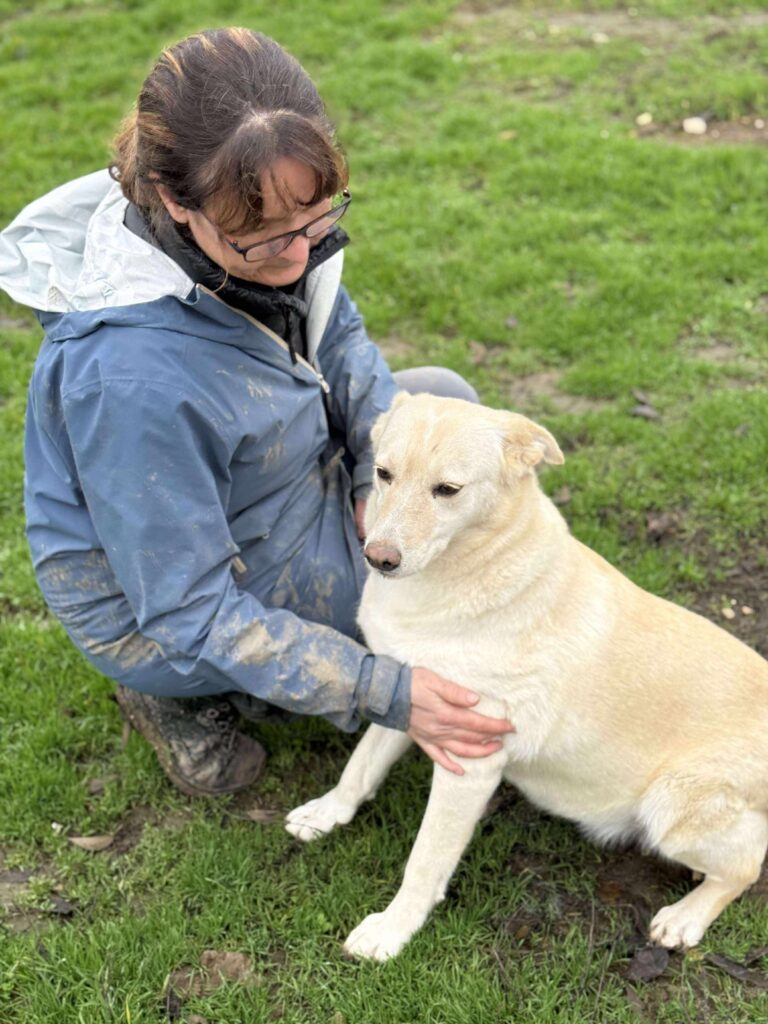 Received 1357263279434989