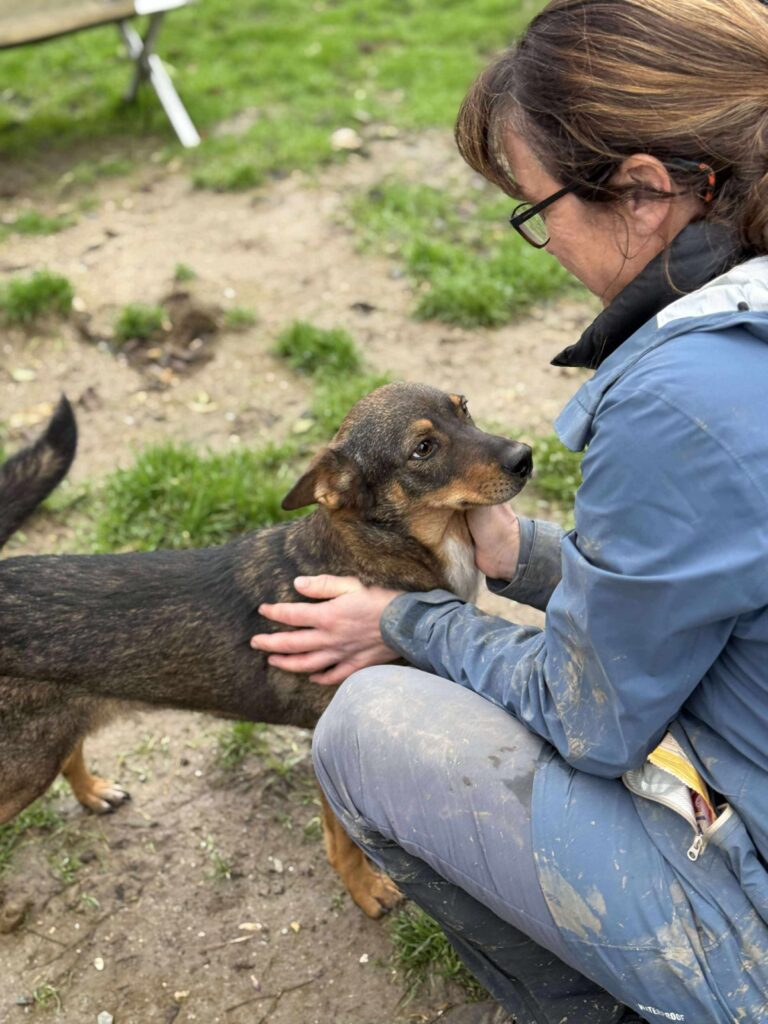 Received 1361593088935015