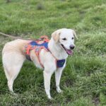 Received 1369099581575272