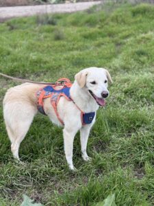 Received 1369099581575272