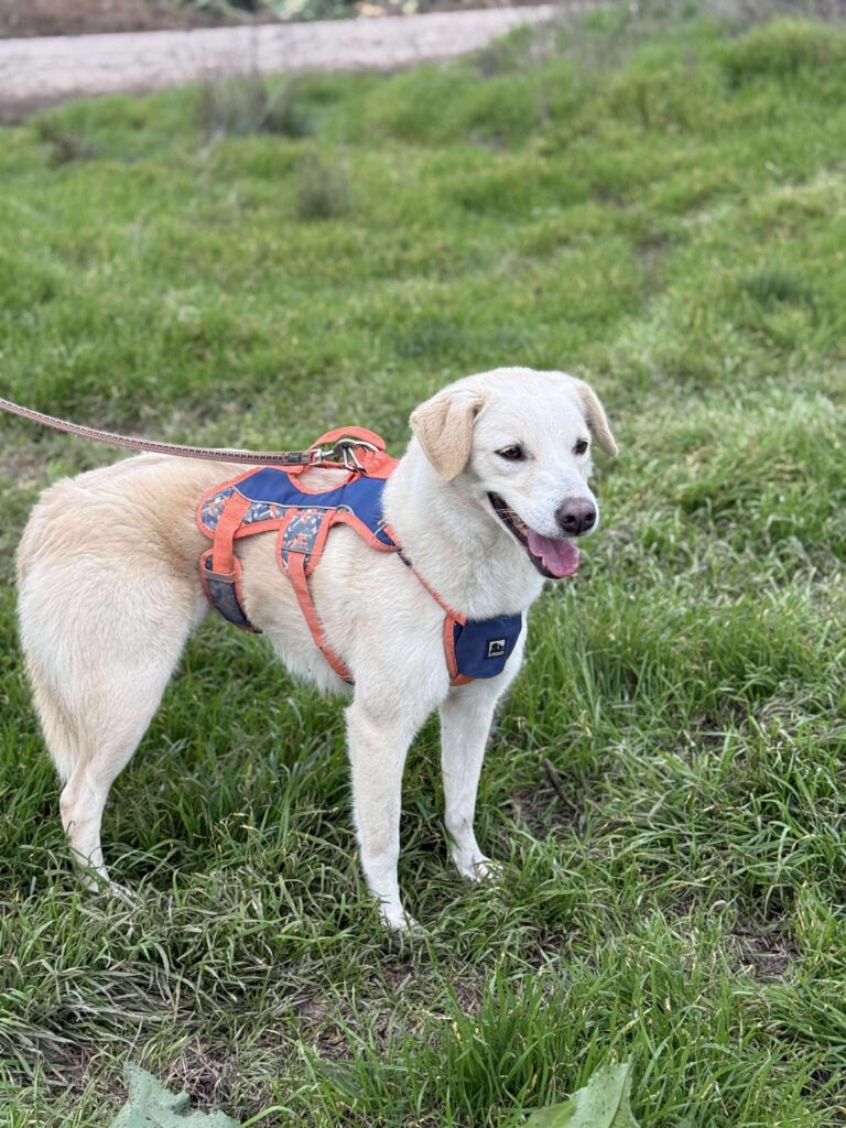 Received 1369099581575272