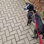 Received 1370096794766224