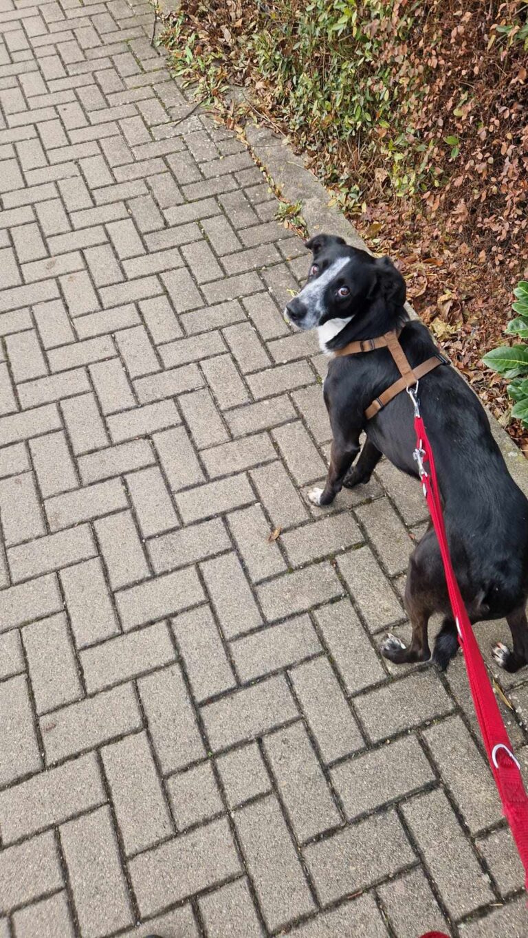 Received 1370096794766224